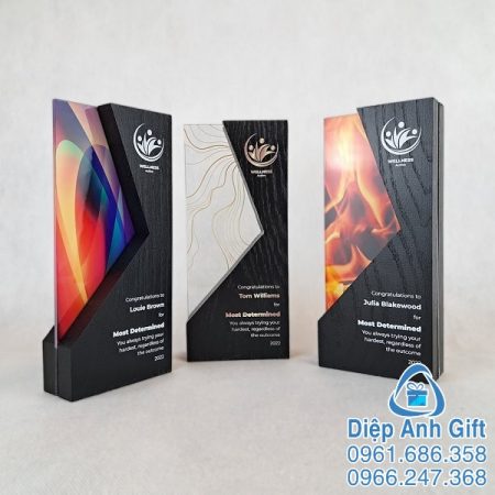 kỷ niệm chương cúp pha lê đặc biệt