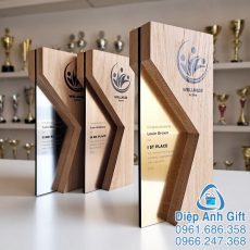 kỷ niệm chương cúp pha lê đặc biệt