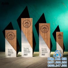 kỷ niệm chương cúp pha lê đặc biệt