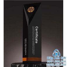 kỷ niệm chương cúp pha lê đặc biệt