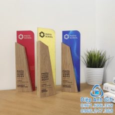 kỷ niệm chương cúp pha lê đặc biệt