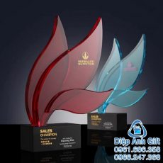 kỷ niệm chương cúp pha lê đặc biệt