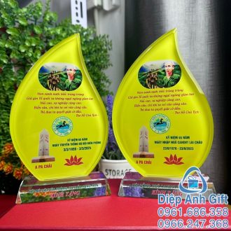 kỷ niệm chương hội đồng ngũ